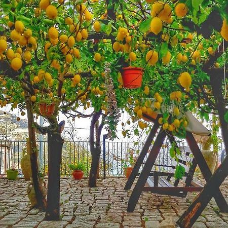 Il Limoneto Di Lulu, Holidays Among The Lemon Trees Villa Minori Exterior photo