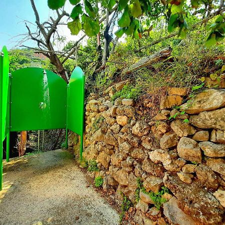 Il Limoneto Di Lulu, Holidays Among The Lemon Trees Villa Minori Exterior photo