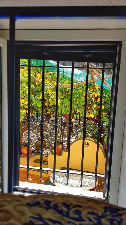 Il Limoneto Di Lulu, Holidays Among The Lemon Trees Villa Minori Exterior photo