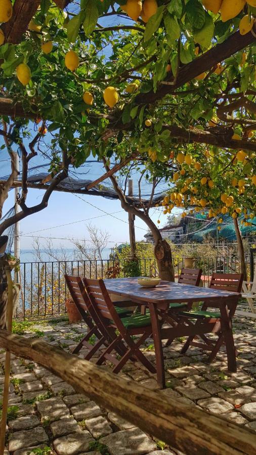 Il Limoneto Di Lulu, Holidays Among The Lemon Trees Villa Minori Exterior photo