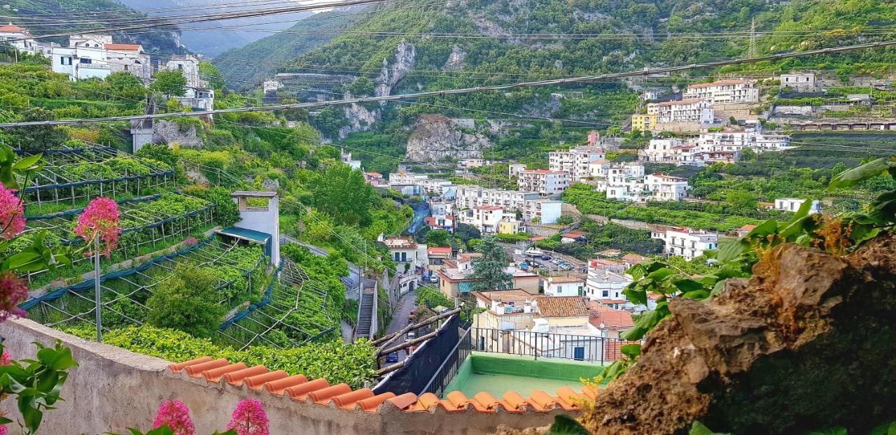 Il Limoneto Di Lulu, Holidays Among The Lemon Trees Villa Minori Exterior photo