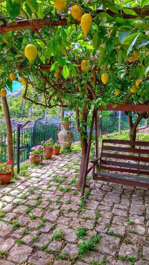 Il Limoneto Di Lulu, Holidays Among The Lemon Trees Villa Minori Exterior photo